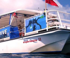 sea experience II