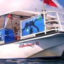 sea experience II
