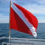 dive-flag_350x250