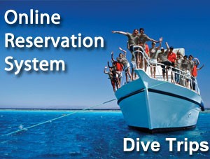 Online Reservations