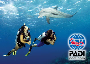 padi-scuba-diving PADI Scuba Diving
