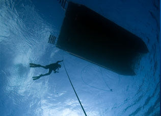 Total Immersion Program