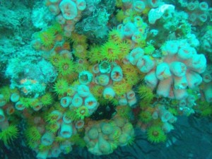 Beautiful sights below and above the water.