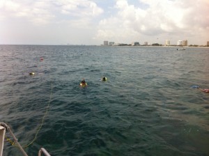 Twin Ledge Snorkeling