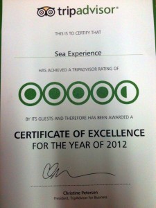 TripAdvisor Awared TripAdvisor Awared