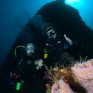 Scuba Divers on Wreck