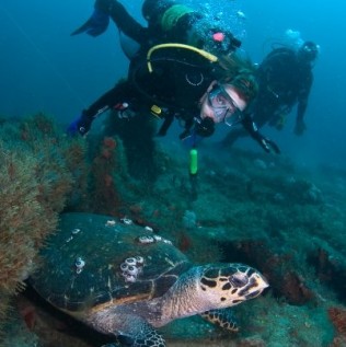Scuba Divers with Turtle