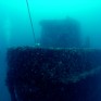 The Wreck of the Tracy