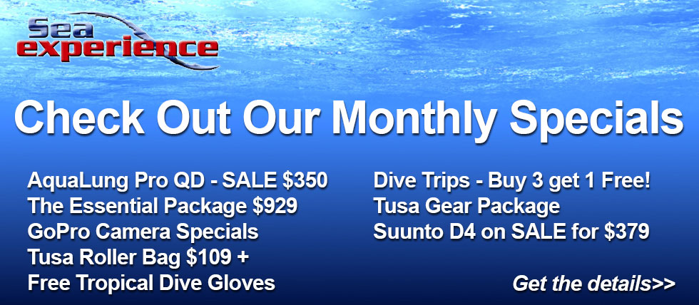 monthly-specials-may