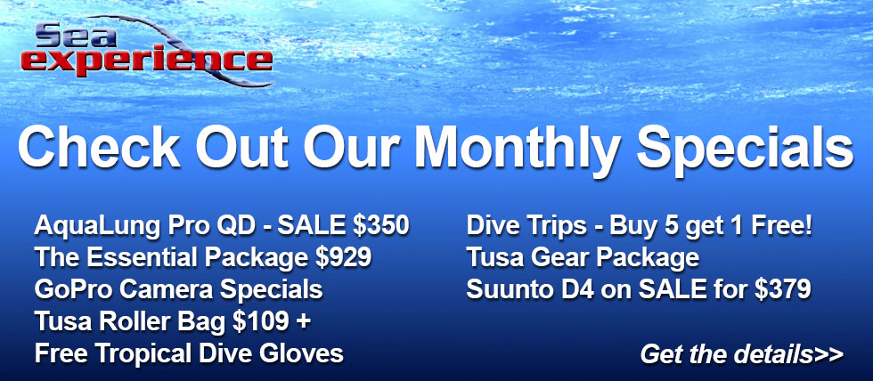 monthly-specials